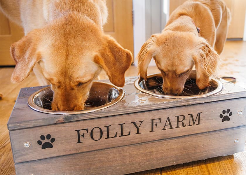 Fairground Pet Friendly Deluxe Lodge - Folly Farm Holiday Park, Kilgetty