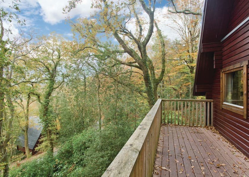 Typical Luxury Woodland Lodge Four 