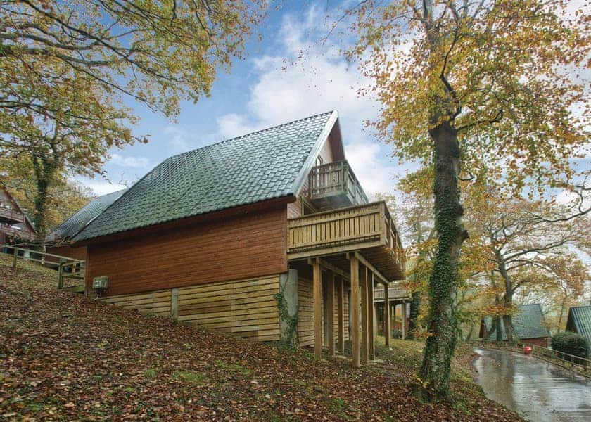 Deluxe Woodland Lodge - Finlake Holiday Resort - Lodges - Book Online ...