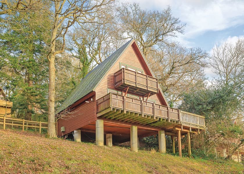 Typical Deluxe Woodland Lodge Six | Finlake Holiday Resort, Chudleigh, Newton Abbot