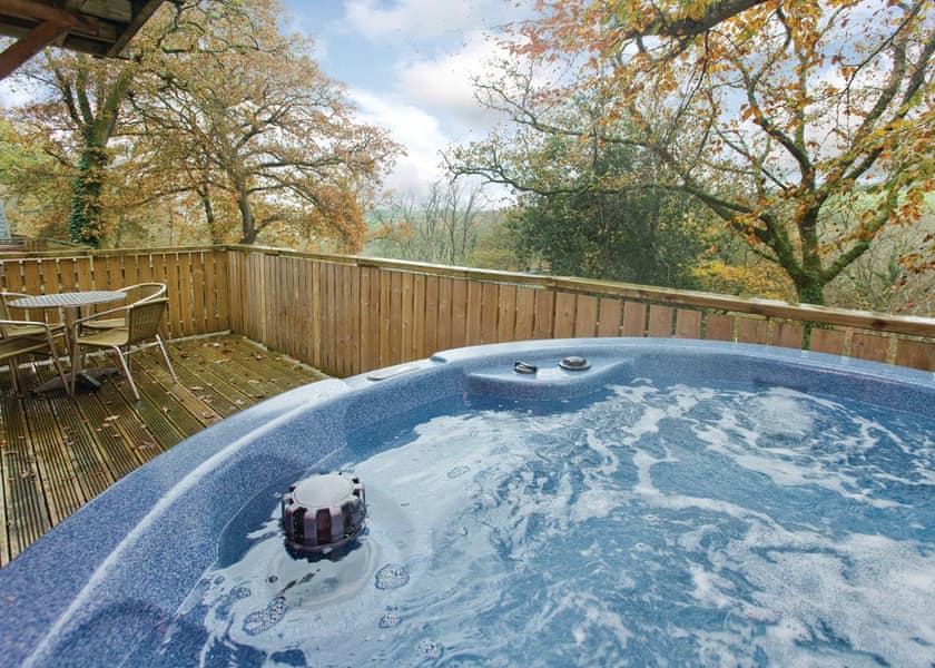 Typical | Deluxe Woodland Lodge 6 - Finlake Resort & Spa, Chudleigh, Newton Abbot