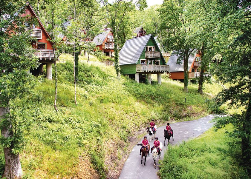 Typical | Deluxe Woodland Lodge 6 - Finlake Resort & Spa, Chudleigh, Newton Abbot