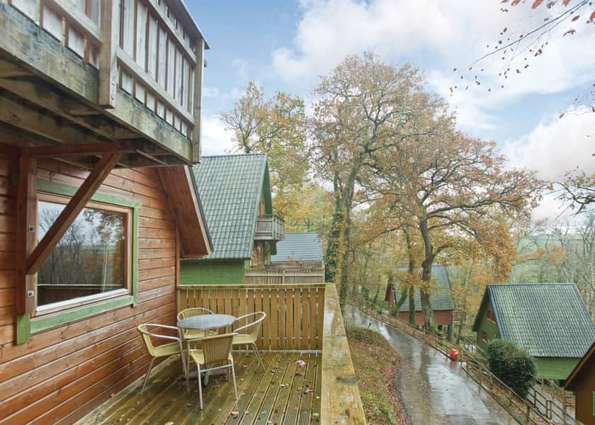 Typical | Deluxe Woodland Lodge 6 - Finlake Resort & Spa, Chudleigh, Newton Abbot