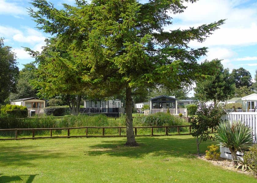 Fir Trees, Chester