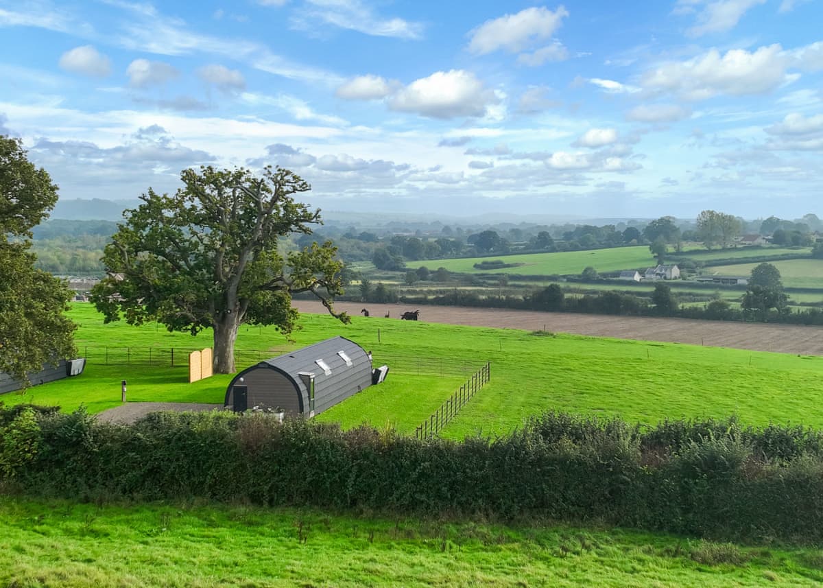 Firtree Farm Lodges - Holiday lodge in South West England - Image 1