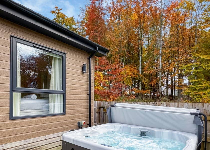 Flusco Wood, Dacre, Nr Ullswater