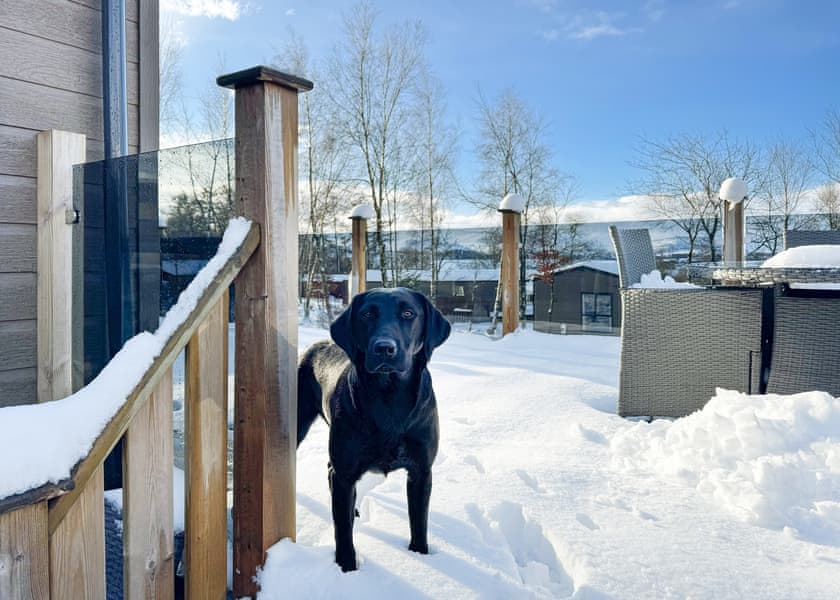 Carlton Signature - Flusco Wood, Dacre, Nr Ullswater