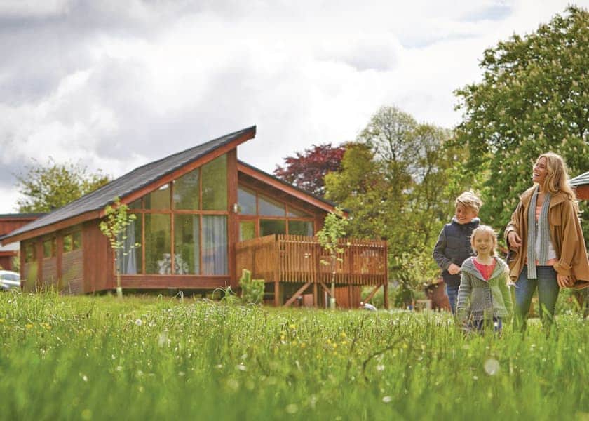 Typical Copper Beech 2 Meadow Cabin | Forest of Dean Lodges, Coleford