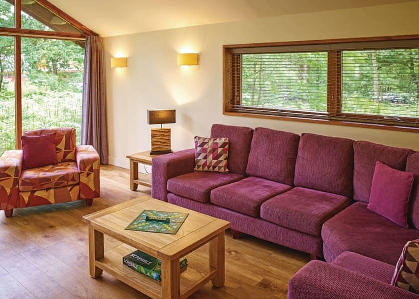 Typical Copper Beech 2 Meadow Cabin | Forest of Dean Lodges, Coleford