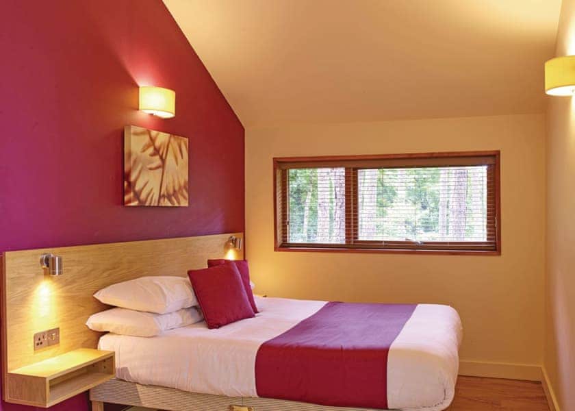 Typical Copper Beech 2 Meadow Cabin | Forest of Dean Lodges, Coleford