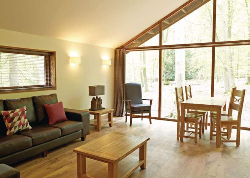 Typical Copper Beech 3 Meadow Cabin WF | Forest of Dean Lodges, Coleford