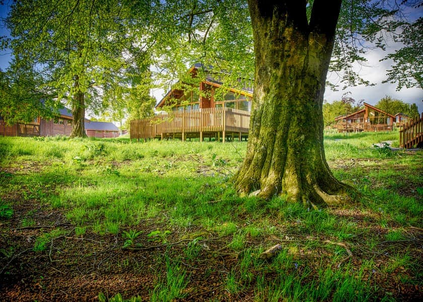 Golden Oak 3 Meadow Cabin - Forest of Dean Lodges, Coleford