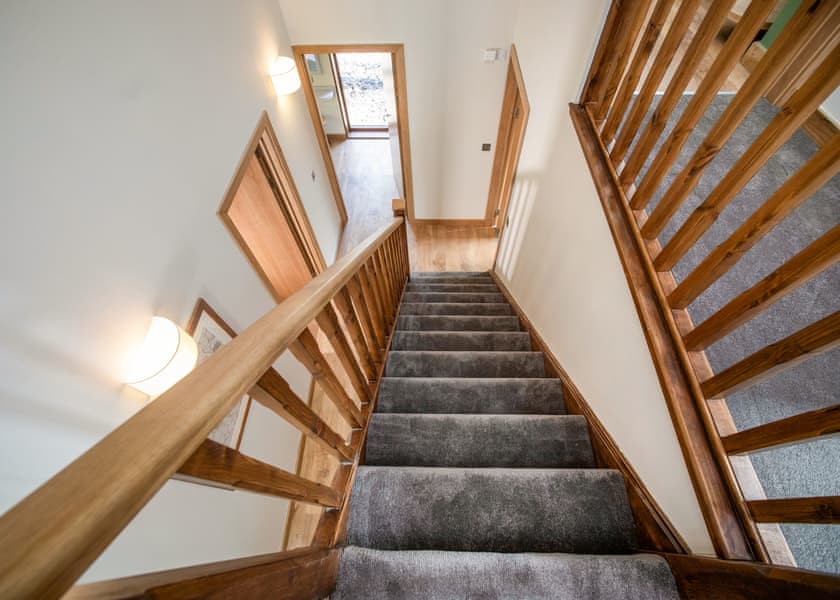 Forest of Dean Golden Oak Plus Treehouse Meadow - Forest of Dean Lodges, Coleford