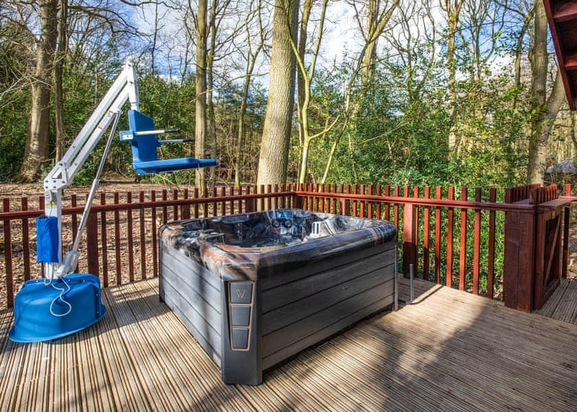 Silver Birch 2 WF (Pet) - Forest of Dean Lodges, Coleford