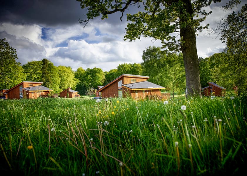 Silver Birch 3 WF Meadow Cabin (Pet) - Forest of Dean Lodges, Coleford