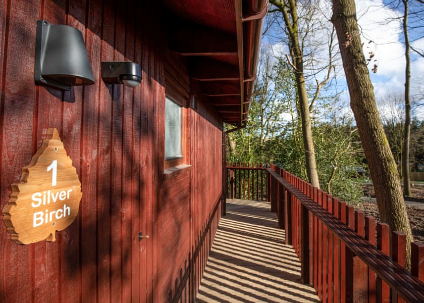 Silver Birch 3 WF Meadow Cabin (Pet) - Forest of Dean Lodges, Coleford