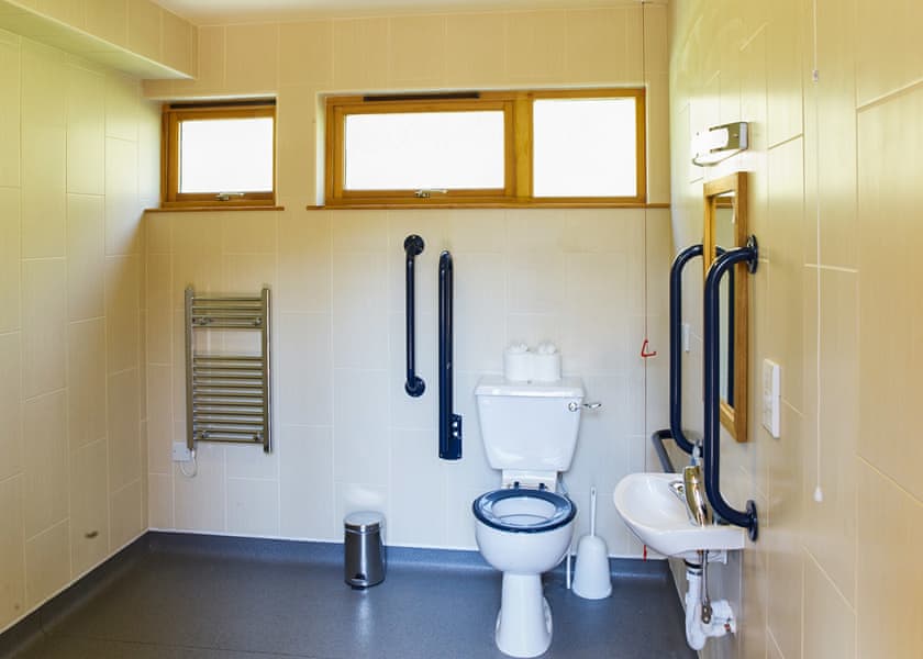 Silver Birch 3 WF Meadow Cabin (Pet) - Forest of Dean Lodges, Coleford