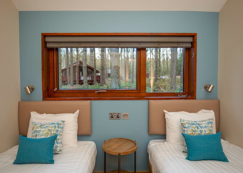 Silver Birch 2 (Pet) - Forest of Dean Lodges, Coleford