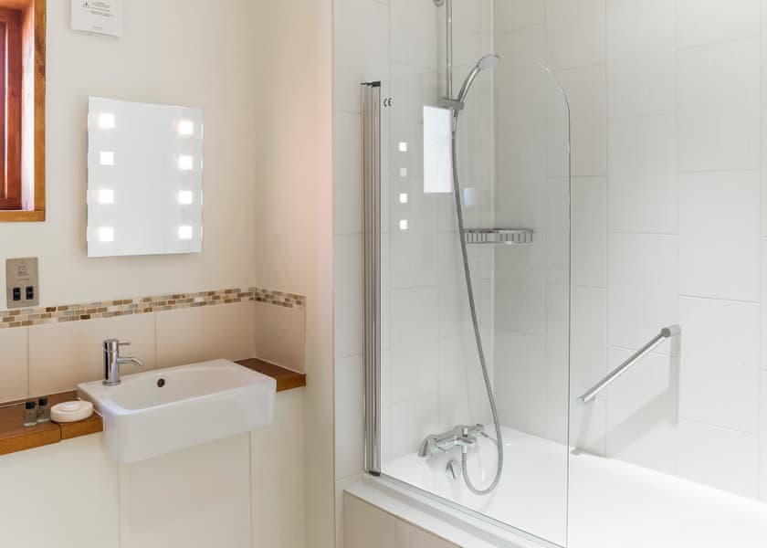 Silver Birch 3 (Pet) - Forest of Dean Lodges, Coleford