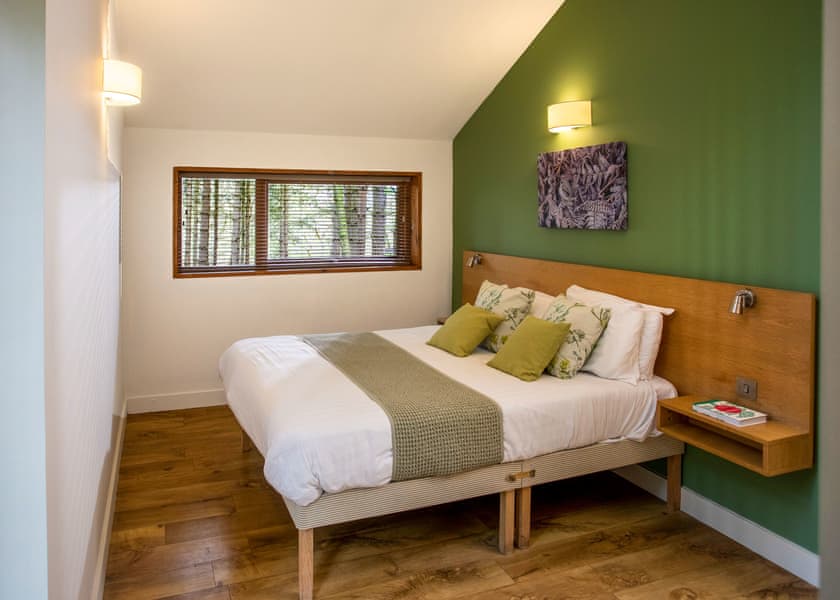 Golden Oak 2 (Pet) - Forest of Dean Lodges, Coleford