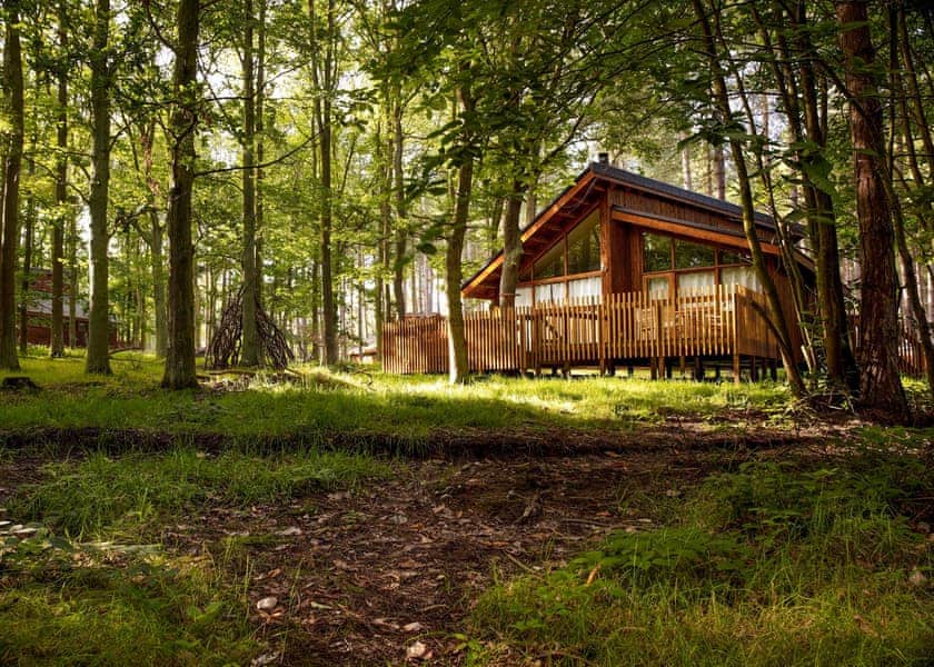 Golden Oak 3 (Pet) - Forest of Dean Lodges, Coleford