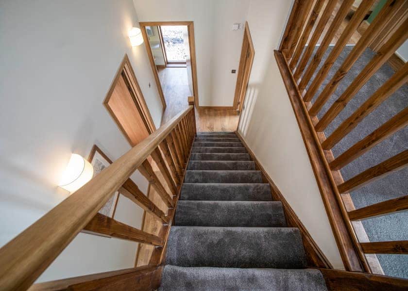 Golden Oak 4 (Pet) - Forest of Dean Lodges, Coleford