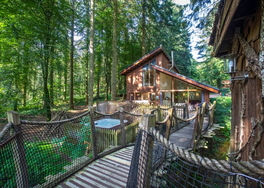 Golden Oak Treehouse (Pet) - Forest of Dean Lodges, Coleford