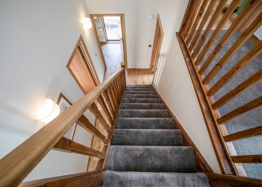 Golden Oak Treehouse (Pet) - Forest of Dean Lodges, Coleford