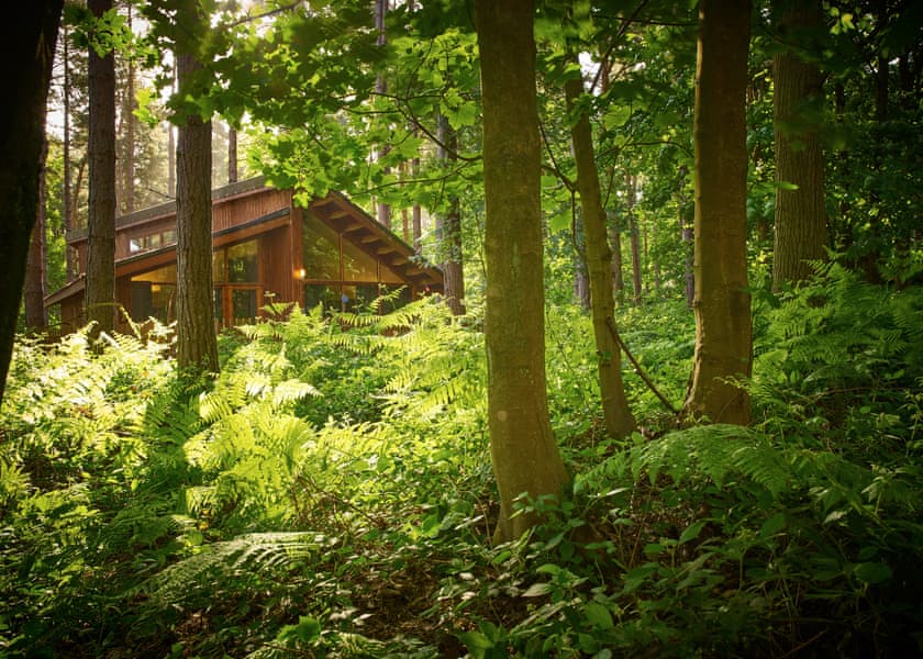 Golden Oak Hideaway (Pet) - Forest of Dean Lodges, Coleford