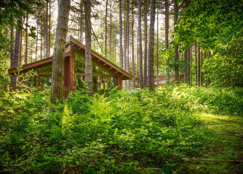 Silver Birch 3 - Forest of Dean Lodges, Coleford