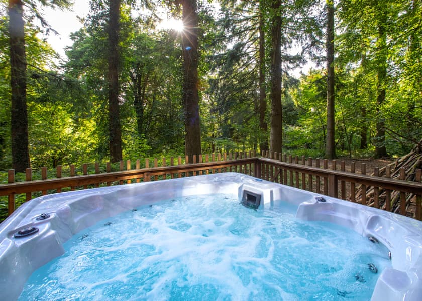 Golden Oak 1 - Forest of Dean Lodges, Coleford