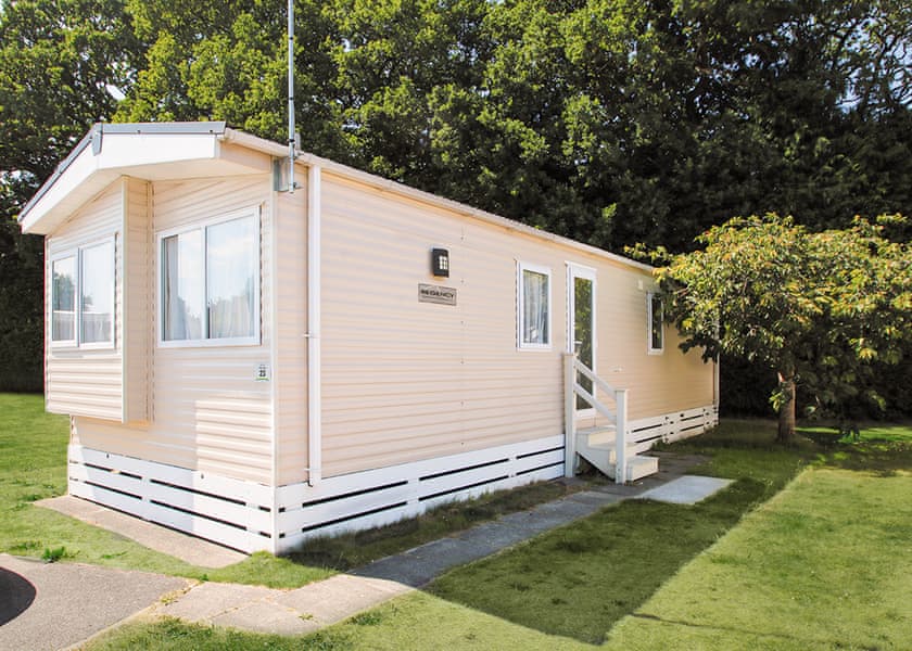 Forest Statement 2 (Pet) - Forest Edge, St. Leonards, Ringwood