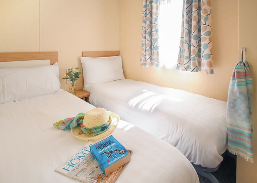 Forest Statement 2 - Forest Edge, St. Leonards, Ringwood