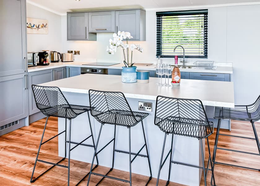 Royal Forest Pet Friendly Lodge - Forest Hills Lodges, Coleford