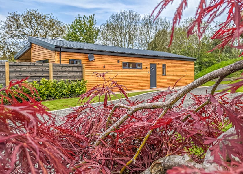 Lodge 3 Bed VIP - The Warrens at Foxtail, Gledrid, Chirk