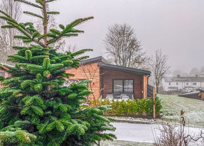 Lodge 3 VIP Pets - The Warrens at Foxtail, Gledrid, Chirk