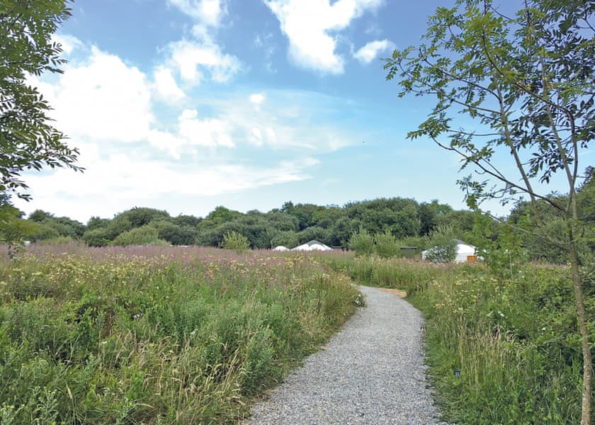 The park setting | Florence Springs Glamping, St Florence, Tenby