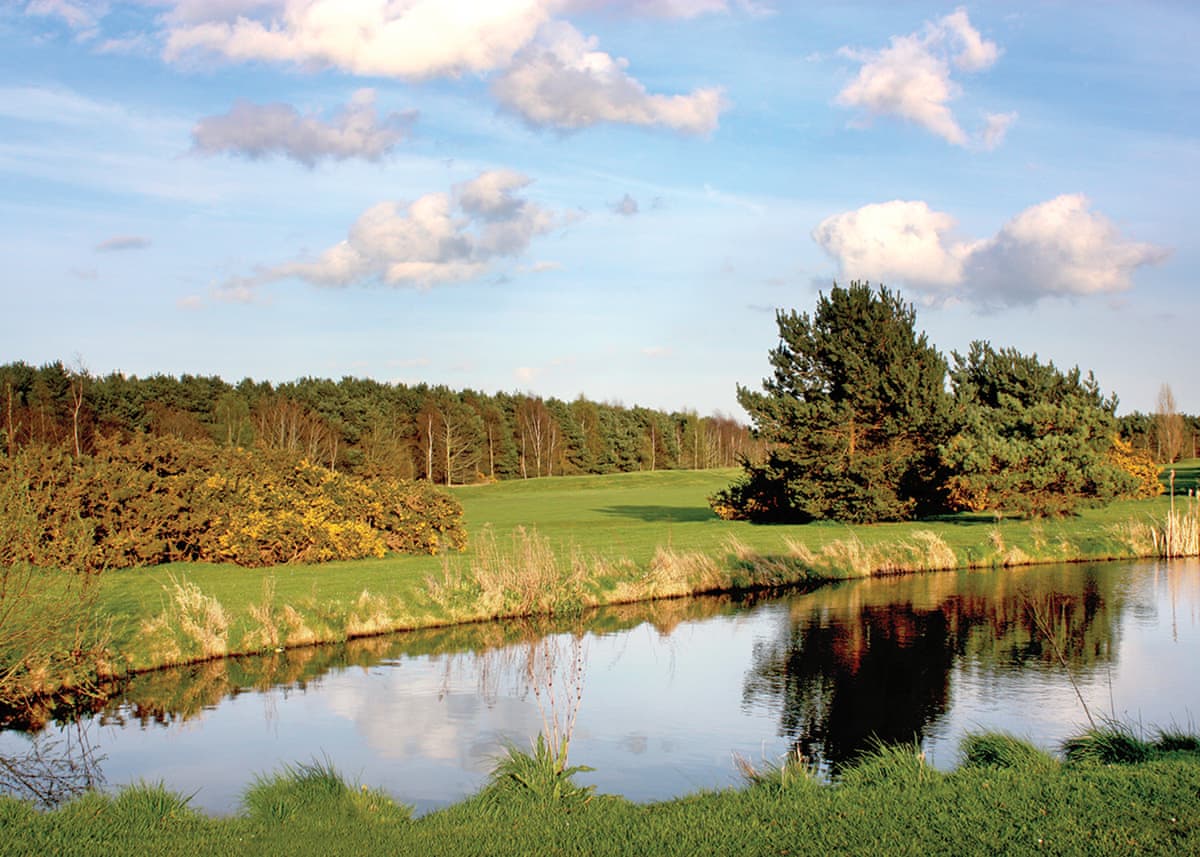 Fairway Lakes Lodges - Holiday lodge in East Anglia - Image 3