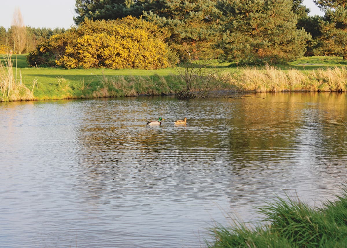 Fairway Lakes Lodges - Holiday lodge in East Anglia - Image 4
