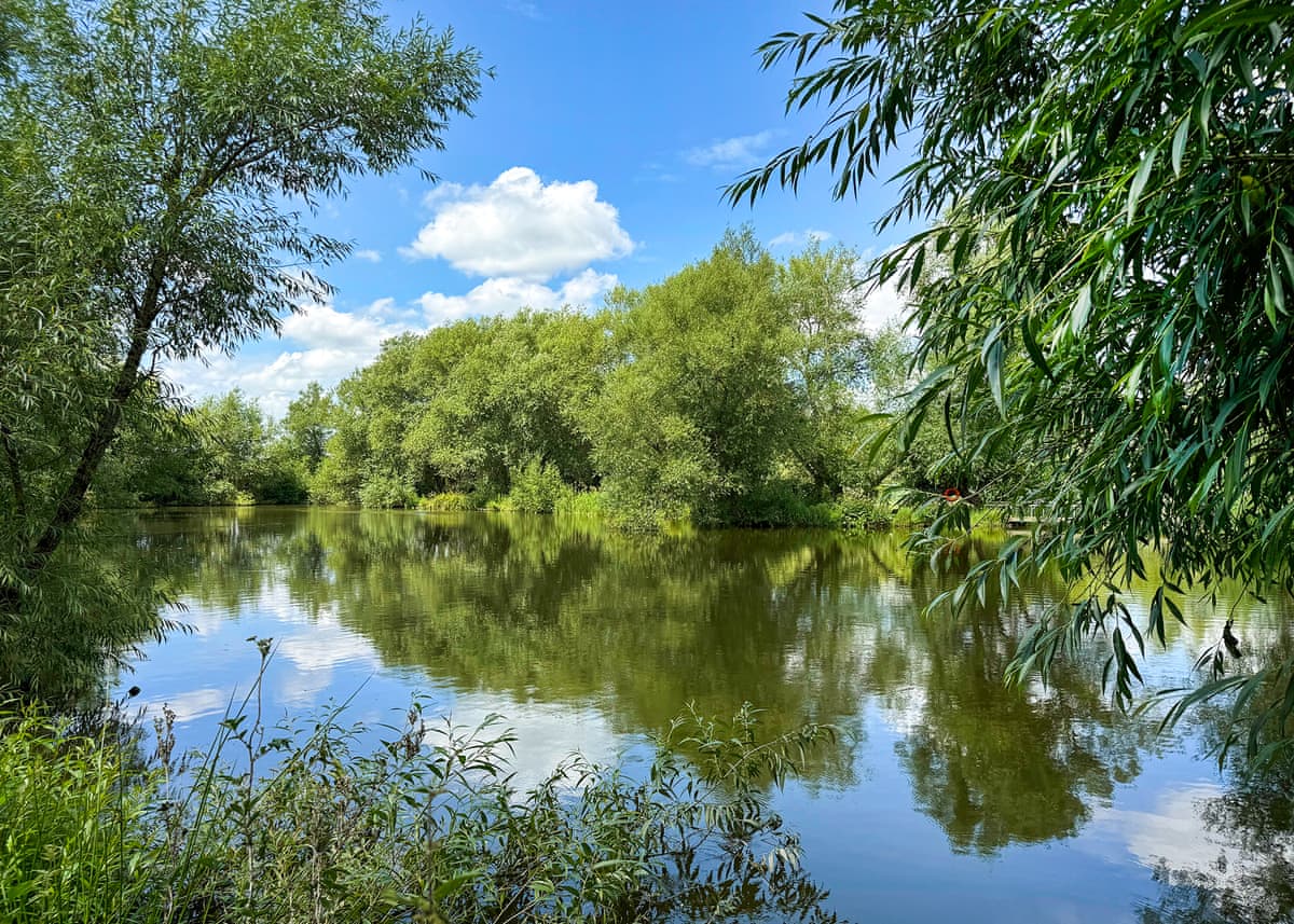Fairwood Lakes Holiday Park - Holiday lodge in Southern England - Image 2