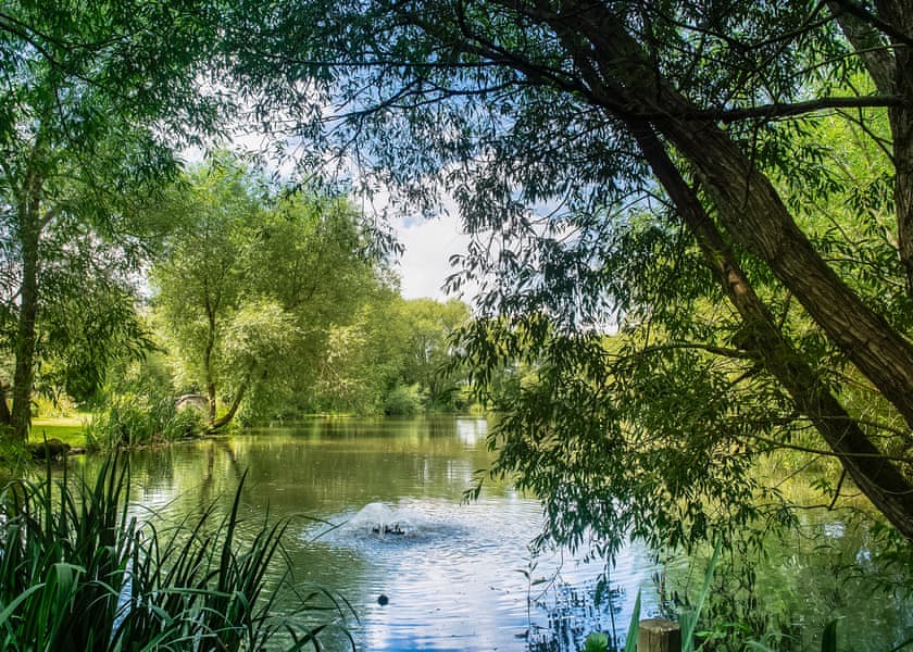 Fairwood Lakes Holiday Park, Westbury