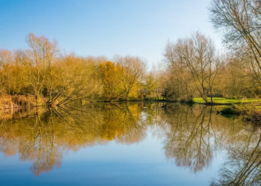 Lakeside Lodges - Fairwood Lakes Holiday Park, Westbury