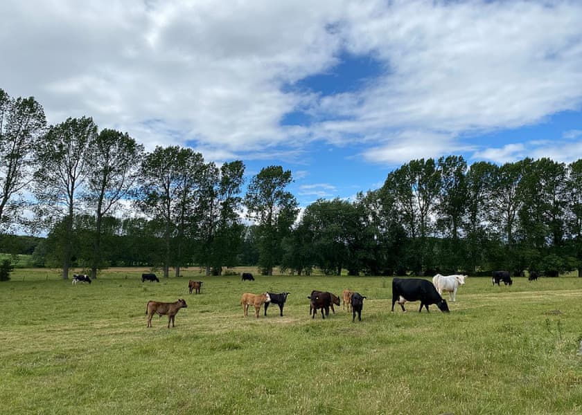 Glamp @ The Priory, Aldeby