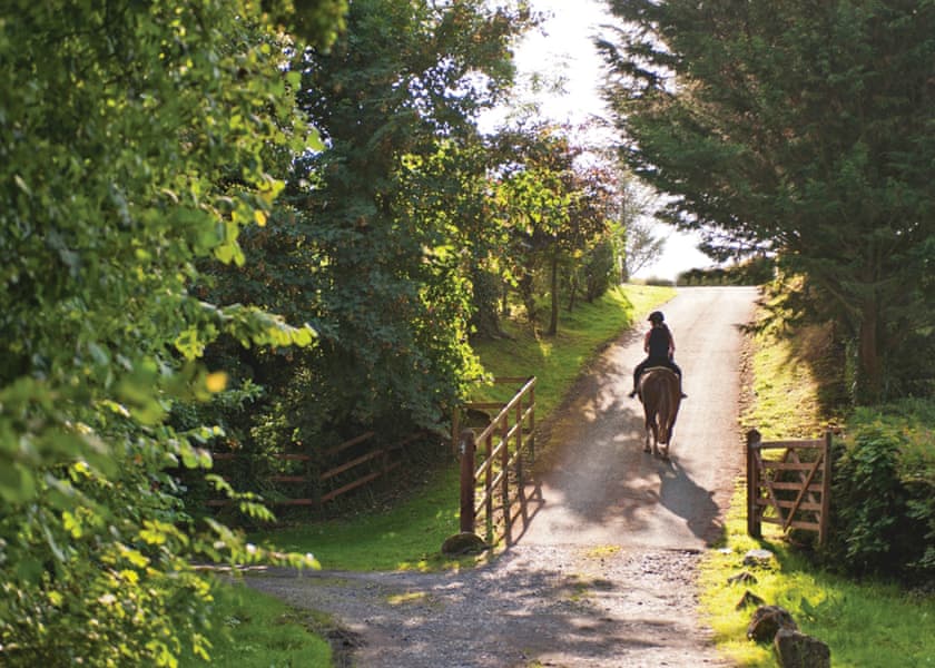 The park setting | Grondre Holiday Park, Clunderwen, Nr Narberth