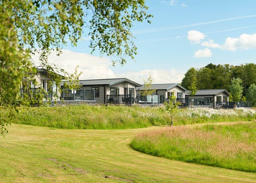 Green Hill Farm Holiday Village, Landford,  Nr Salisbury