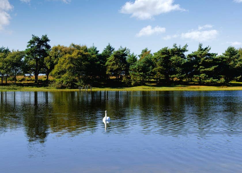 Green Hill Farm Holiday Village, Landford,  Nr Salisbury