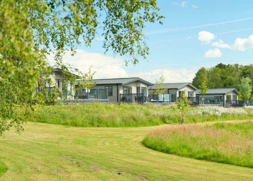Exclusive Lodge 2 Bed (Pet) HT - Green Hill Farm Holiday Village, Landford,  Nr Salisbury