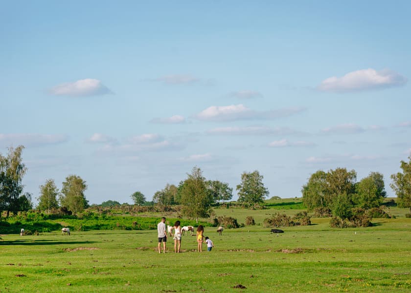 Luxury 2 Bed - Green Hill Farm Holiday Village, Landford,  Nr Salisbury
