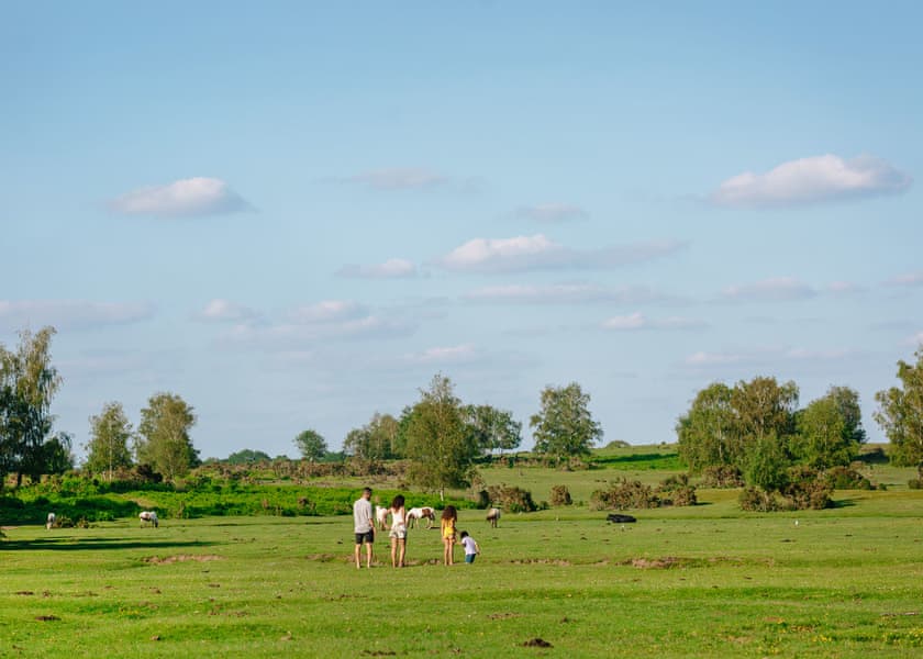 Luxury 2 Bed (Pet) - Green Hill Farm Holiday Village, Landford,  Nr Salisbury
