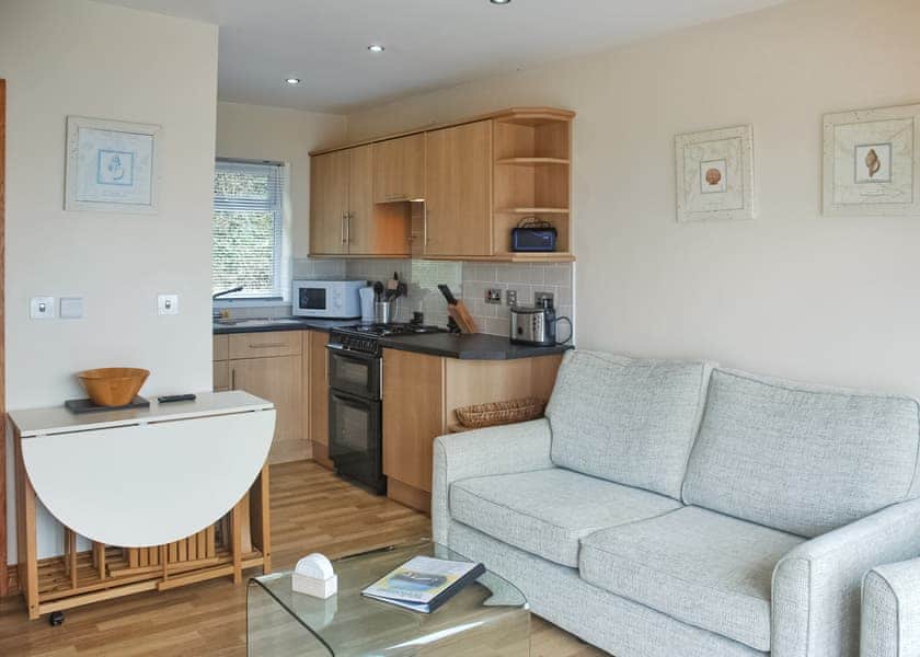 Gold 2 Bed Chalet - Gilfach Holiday Apartments, Gilfach-Yr-Halen